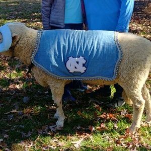 Meet your Posher, Dawn